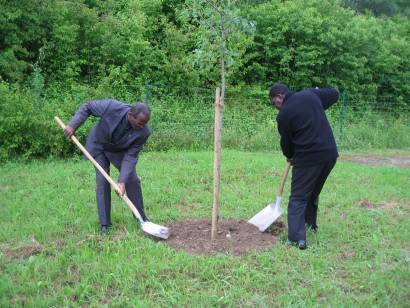 Erzbischof Mpundu und Erzbischof Chama bei der Baumpflanzaktion