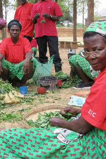 Kräuterworkshop - alternative Medizin